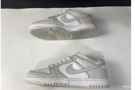 Dust" Nike Low DD1503-103 "Photon Dunk 1107